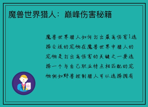 魔兽世界猎人：巅峰伤害秘籍